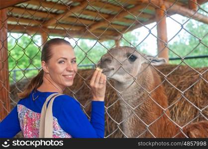 woman feeding lama. Young attractive woman feeding lama