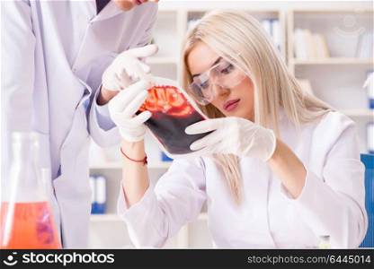 Woman female doctor looking at blood samples in bag