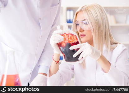 Woman female doctor looking at blood samples in bag