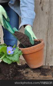 woman filling a flowerpot with soil for potting