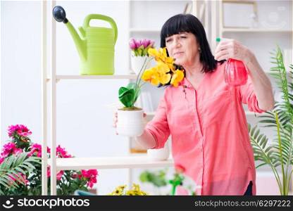 Woman florist working in the flower shop