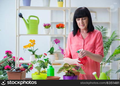 Woman florist working in the flower shop