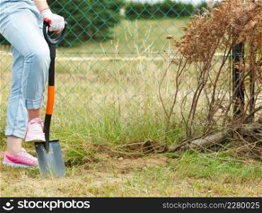 Woman gardener digging hole in ground soil with shovel. Yard work around the house. Woman digging hole in garden