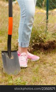 Woman gardener digging hole in ground soil with shovel. Yard work around the house. Woman digging hole in garden