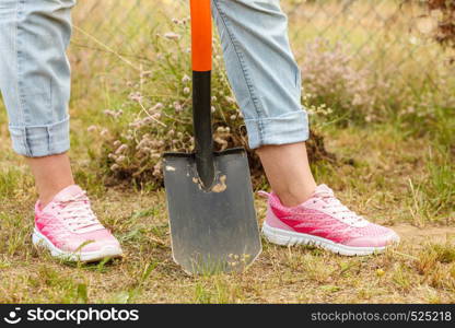 Woman gardener digging hole in ground soil with shovel. Yard work around the house. Woman digging hole in garden