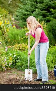 Woman gardener digging the soil in spring with a spade to make the garden ready