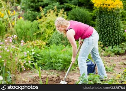 Woman gardener digging the soil in spring with a spade to make the garden ready