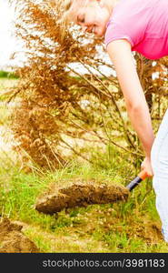 Woman gardener digs ground soil with shovel for removal withered dried thuja tree from her backyard. Yard work around the house. Woman remove tree from backyard, digging soil with shovel