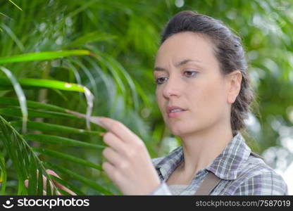 woman gardener in apron working and taking care a plant