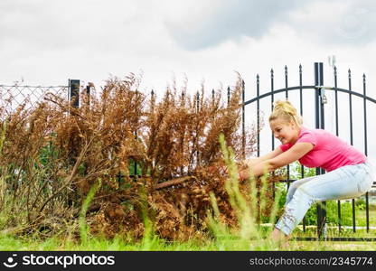 Woman gardener removing withered dried thuja tree from her backyard. Yard work around the house. Woman removing dried thuja tree from backyard