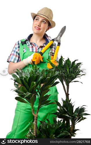 Woman gardener trimming plans on white