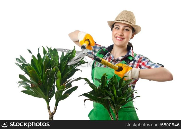 Woman gardener trimming plans on white