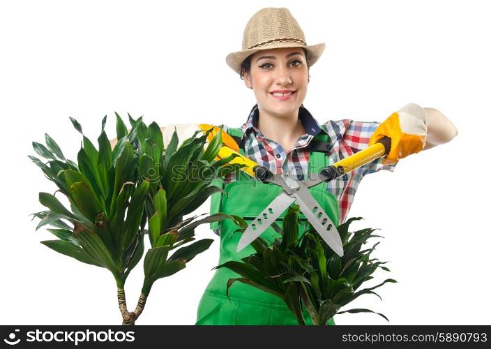 Woman gardener trimming plans on white