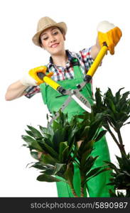 Woman gardener trimming plans on white