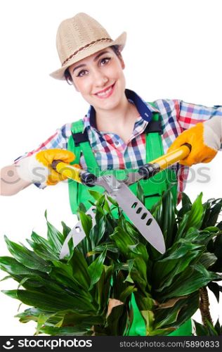 Woman gardener with shears on white