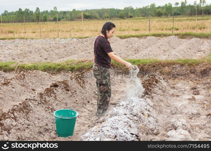 Woman gardeners put lime or calcium hydroxide into the soil to neutralize the acidity of the soil.