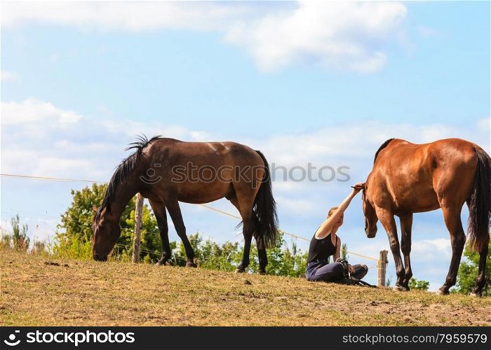 Woman girl taking care of horse.. Woman girl taking care of brown horse. Female with animal outdoor.