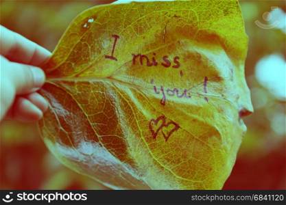 Woman hand hold old leaf with the word is i miss you, miss u message for far away lover on vintage background