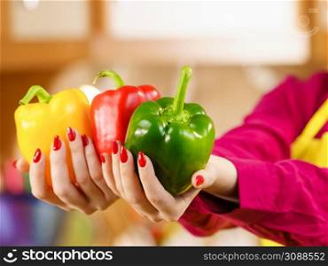 Woman hand holding bell pepper delicious healthy dieting vegetable presenting diet food in three colors. Woman holding bell peppers paprika