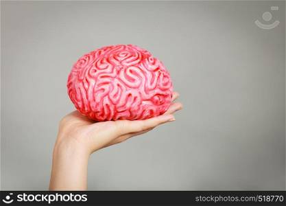 Woman hand holding brain. Having something on mind, thinking of solution idea concept.. Woman hand holding brain