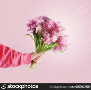 Woman hand holding bunch of lovely pink flowers at pastel background.  Front view.