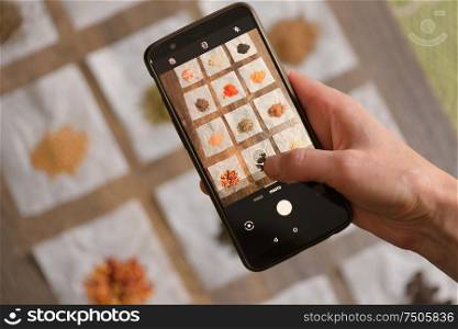 Woman Hand Holding Mobile Smart Phone over different spices