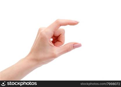Woman hand holding some like a blank object isolated on a white background