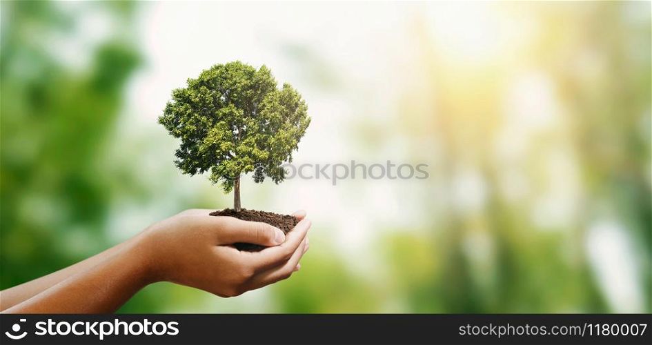 woman hand holding tree on blur green nature background. concept eco earth day