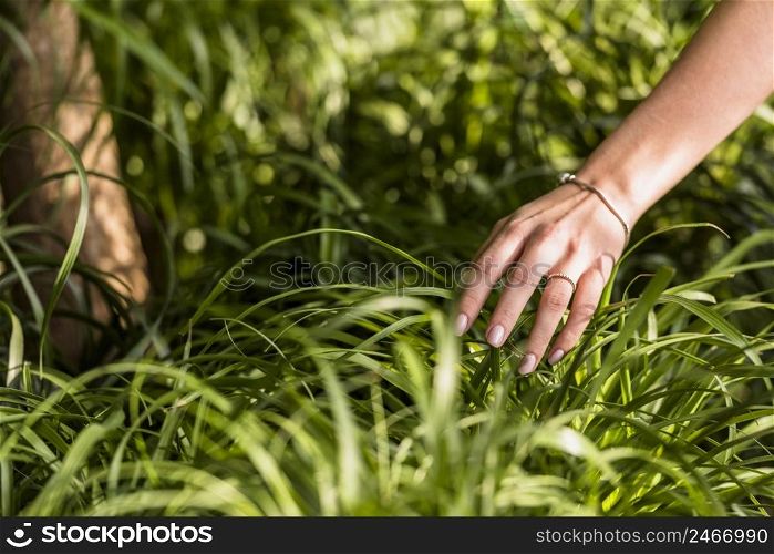 woman hand near green leaves