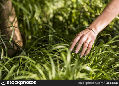 woman hand near green leaves