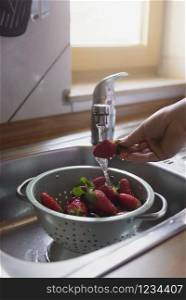 Woman hand washing organic strawberries in a colander, in the kitchen sink by the window. Home interior. Preparing fruits for eating. Summer fruits.