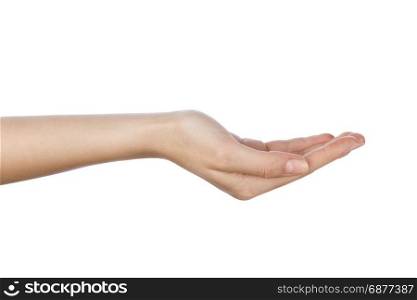 woman hand with palm up in a white isolated background