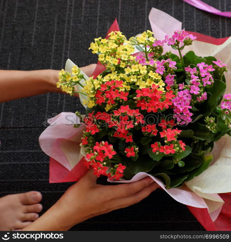 Woman hand wrapping paper for flower pot in special day celebration, flora blossom beautiful in yellow, red and pink color, girl prepare present from high view on black blur background indoor on day