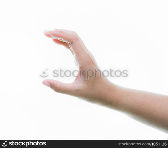 Woman hands holding isolate on over white backgrounds