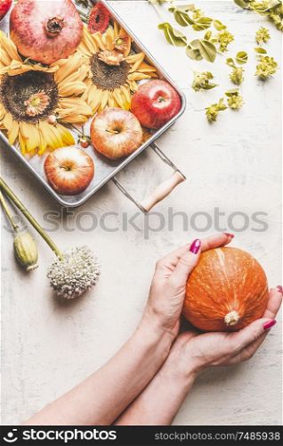 Woman hands holding pumpkin on white desk with sunflowers, apples, flowers and leaves, top view