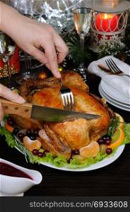 Woman hands slicing up tasty juicy spicy appetizing roasted whole chicken