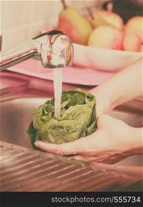Woman hands washing fresh vegetables green lettuce in kitchen under water stream, preparation salad vegetarian meal