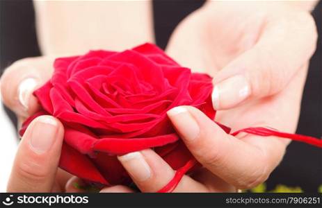 Woman hands with red rose petals