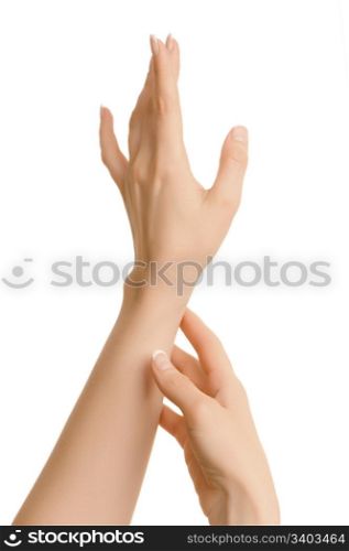 Woman hands. Woman hands on a white background