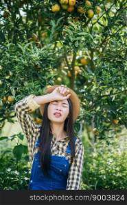 woman havesting Orange plantation