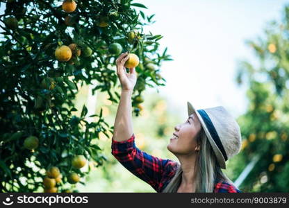 woman havesting Orange plantation