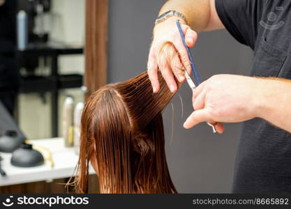 Woman having a new haircut. Male hairstylist cutting brown hair with scissors in a hair salon. Woman having a new haircut. Male hairstylist cutting brown hair with scissors in a hair salon.