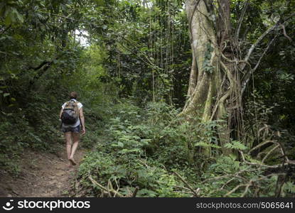 Woman hiking on trail in forest, Yelapa, Jalisco, Mexico