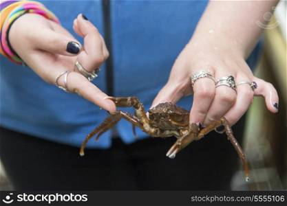 Woman holding a crab, Norris Point, Gros Morne National Park, Newfoundland And Labrador, Canada