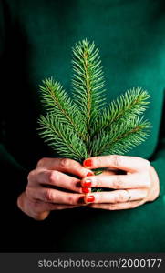 woman holding a fir branch at Christmas