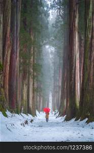 Woman holding a red umbrella with Giant Cedar Trees in natural forest with snow and fog in winter season, Togakushi Jinja, Nagano, Japan. Tourist in travel trip and holidays vacation concept.