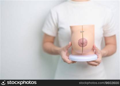 Woman holding Breast Anatomy model. Breast Augmentation Surgery, October Breast Cancer Awareness month, Pregnant, Diagnosis, Beauty woman enlargement and medical concept