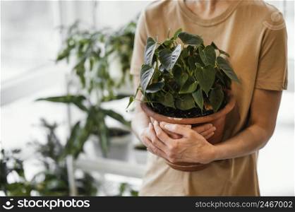 woman holding indoor plant pot