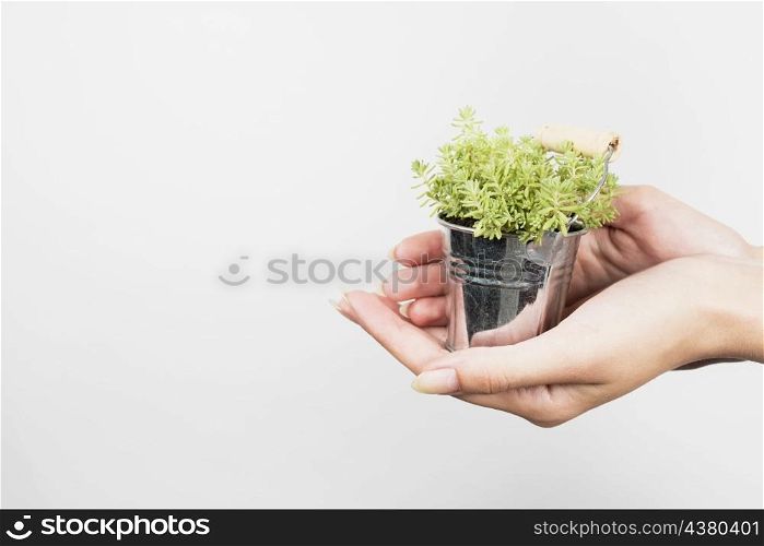 woman holding metal flowerpot with copy space