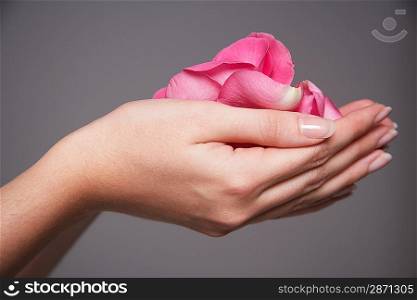 Woman Holding Pink Rose Petals